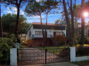 Apartments in Lignano 21670